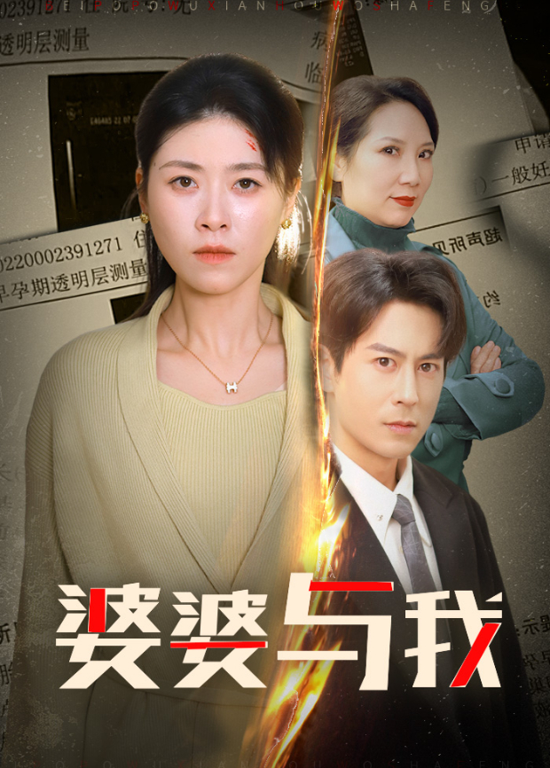 婆婆与我封面图