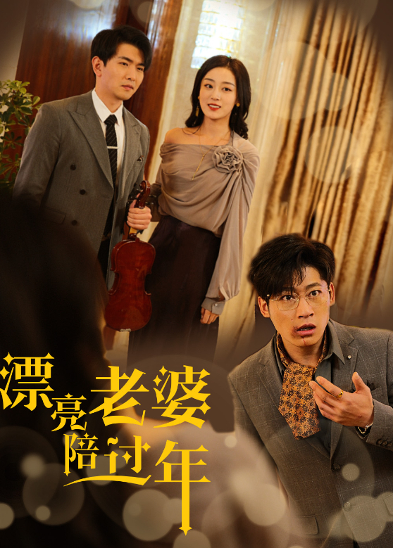 漂亮老婆陪过年封面图