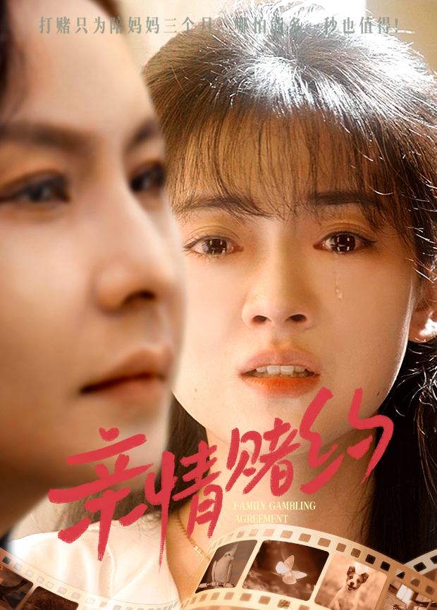 亲情赌约封面图