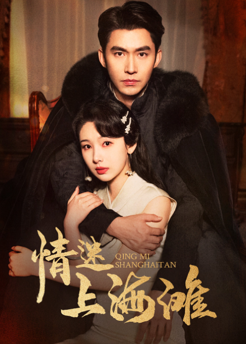 情迷上海滩封面图