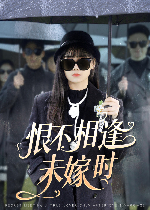 恨不相逢未嫁时封面图