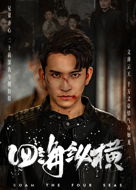 四海纵横封面图