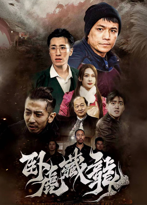 卧虎藏龙封面图