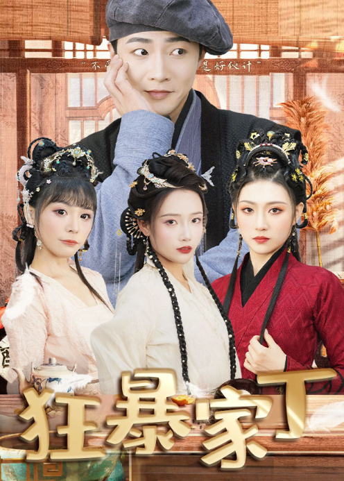 狂暴家丁封面图