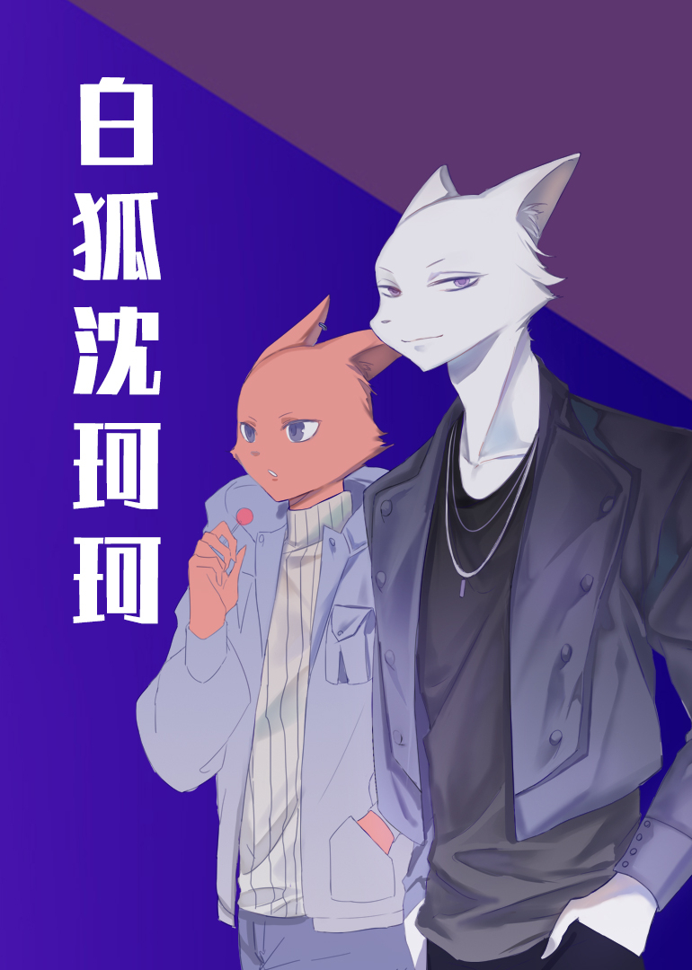 白狐沈珂珂封面图