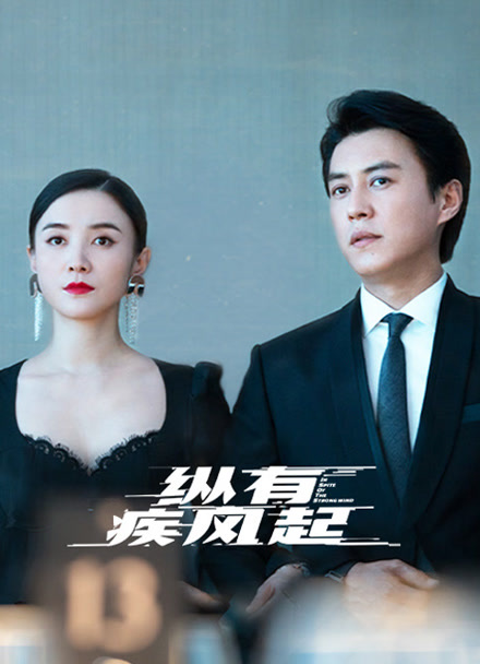 纵有疾风起封面图