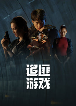 追匪游戏普通话封面图