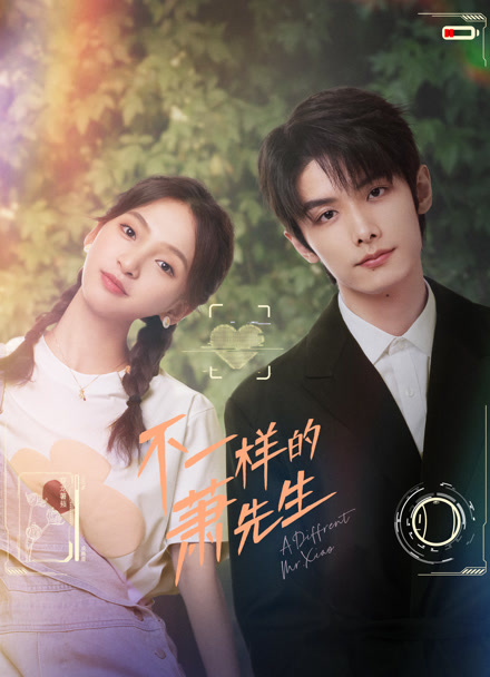 不一样的萧先生封面图