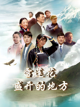 雪莲花盛开的地方封面图