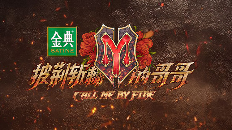 披荆斩棘的哥哥封面图