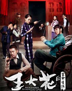 王大花的革命生涯封面图