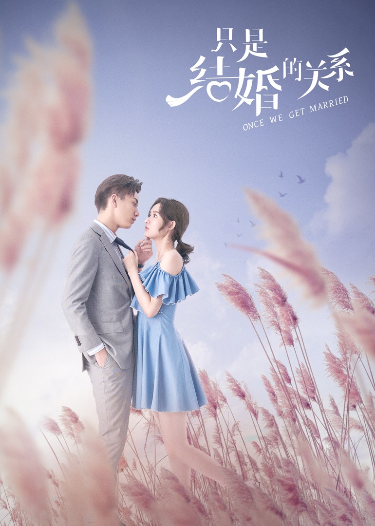 只是结婚的关系封面图