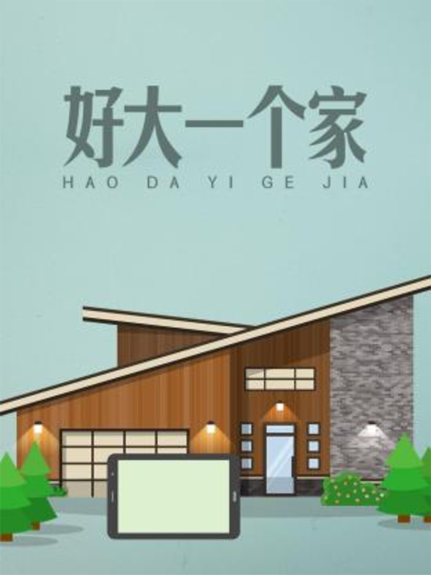 好大一个家封面图