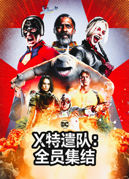 X特遣队：全员集结 普通话封面图