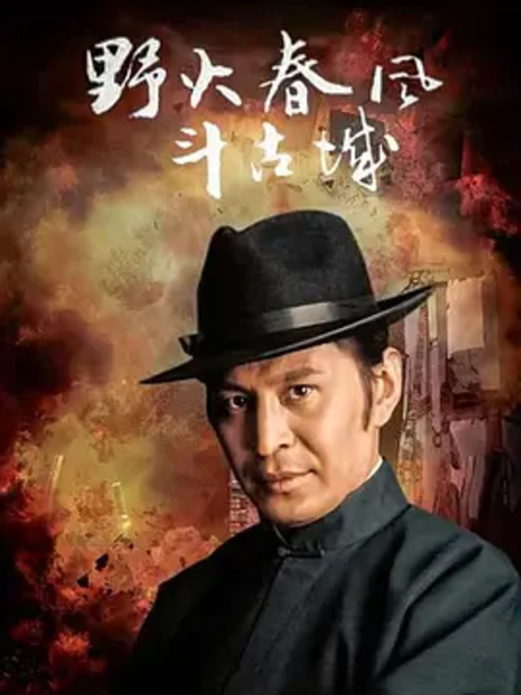 野火春风斗古城封面图