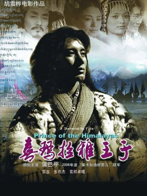 喜马拉雅王子封面图