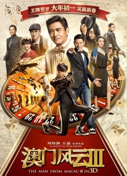 澳门风云3封面图