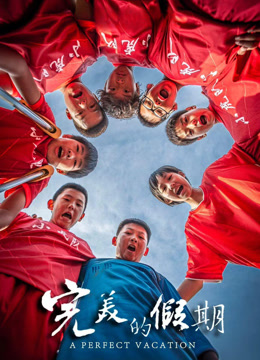 完美的假期封面图