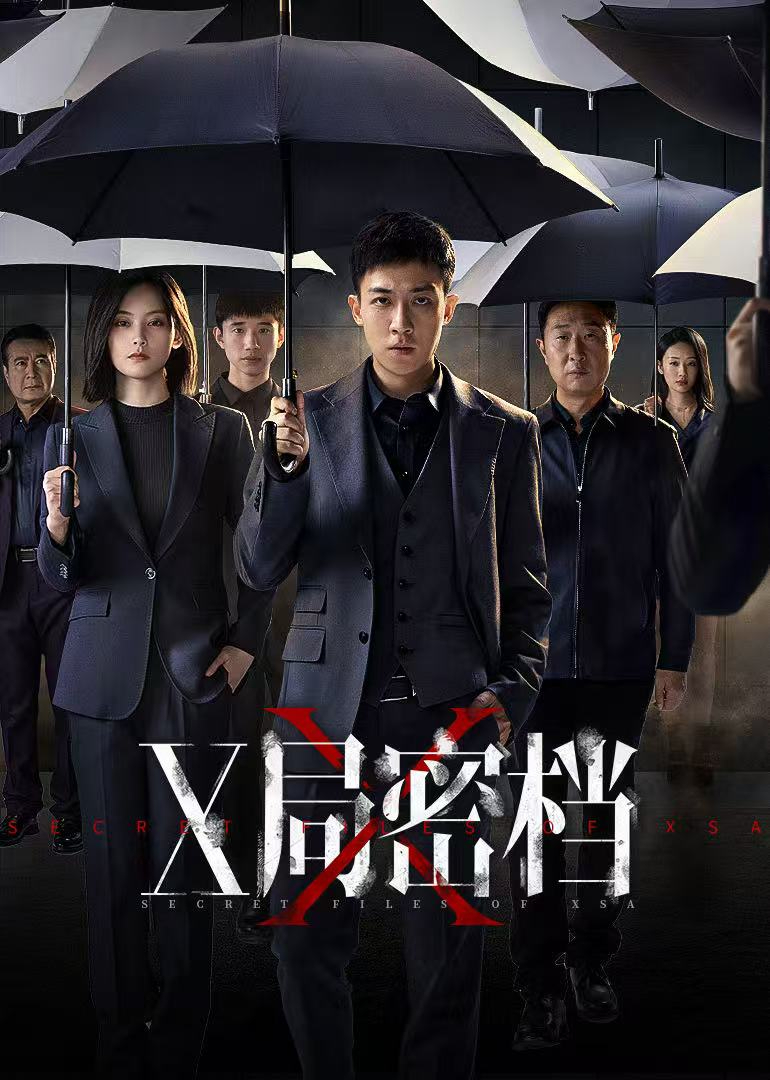 X局密档封面图