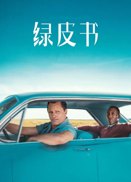 绿皮书封面图