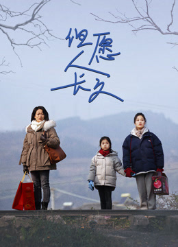 但愿人长久封面图