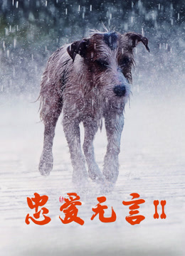 忠爱无言2封面图