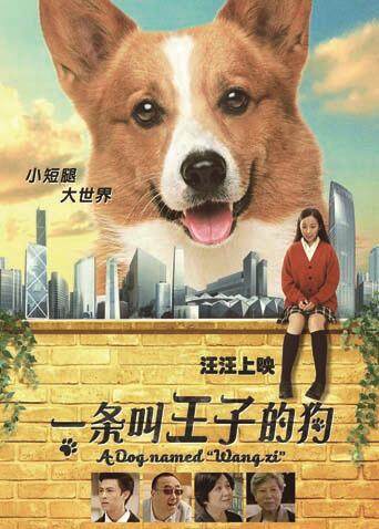 一条叫王子的狗封面图