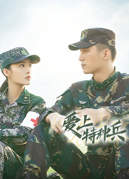 爱上特种兵封面图
