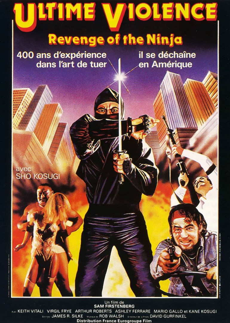 菜鸟大反攻封面图