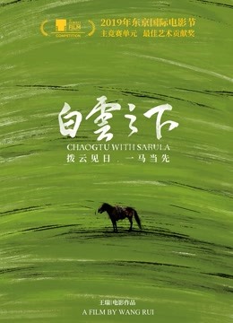 白云之下封面图