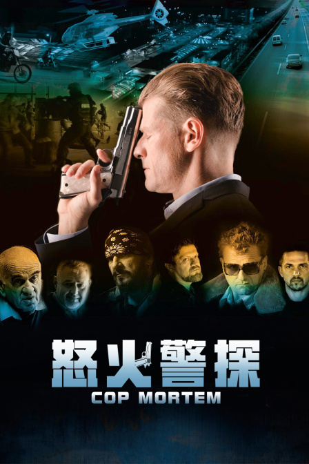 怒火警探封面图