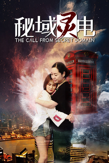 秘域灵电封面图