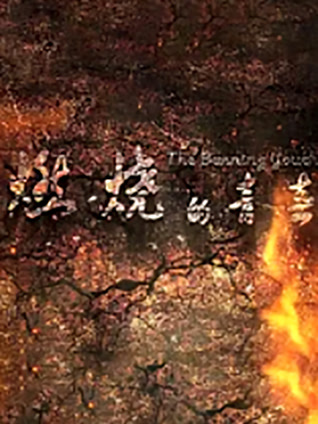 燃烧的青春封面图