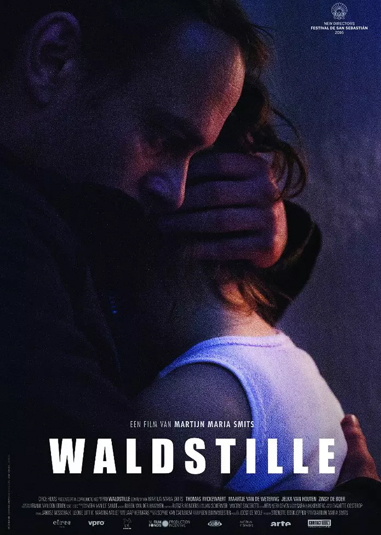 瓦尔德斯蒂尔封面图