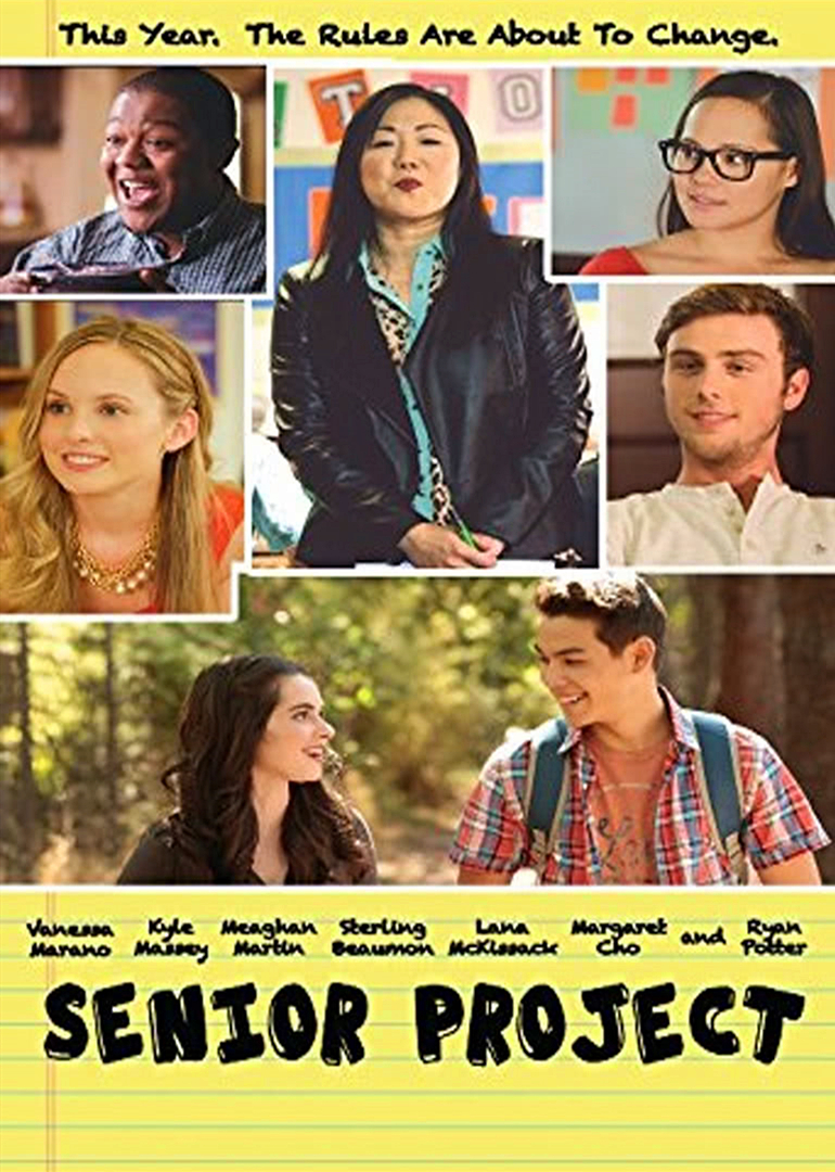 高级项目封面图