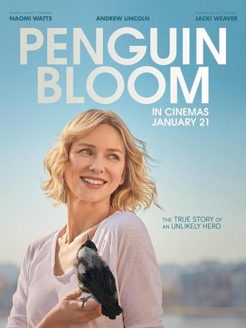 企鹅布鲁姆封面图