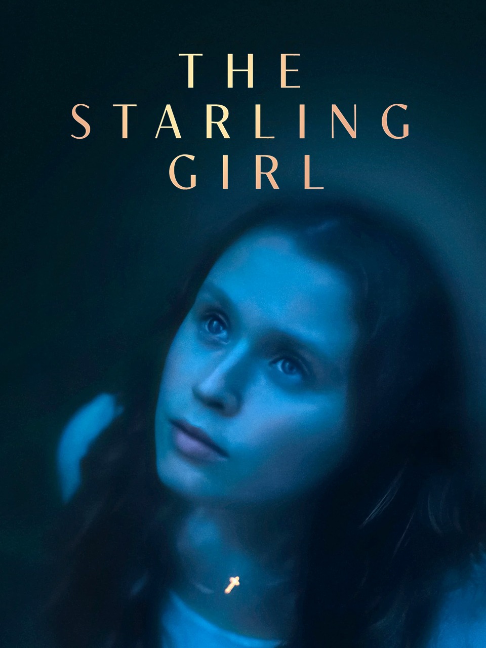 椋鸟女孩封面图