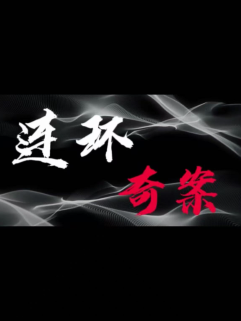 连环奇案封面图