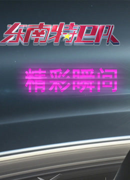 东南特卫队精彩瞬间封面图