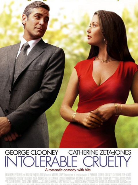 真情假爱封面图