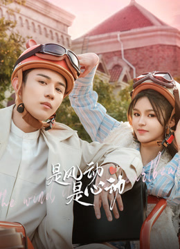 是风动、是心动