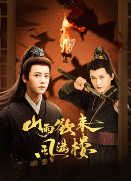 山雨欲来风满楼封面图