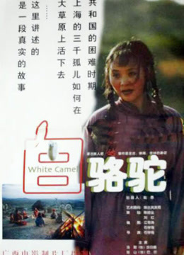 白骆驼封面图