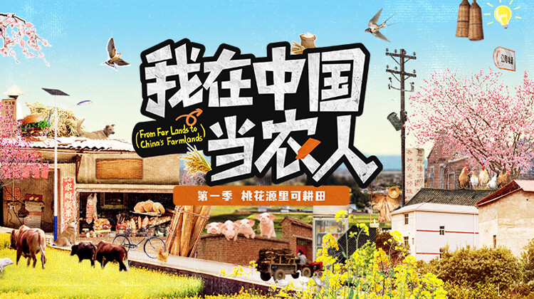 我在中国当农人封面图