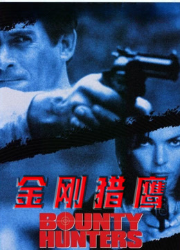 金刚猎鹰封面图