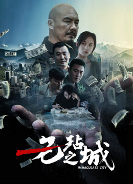 无玷之城封面图