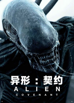 异形：契约封面图