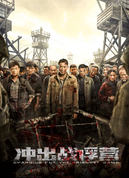 冲出战俘营封面图