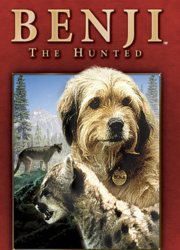 丛林赤子心封面图