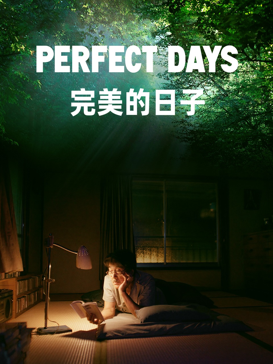 完美的日子封面图